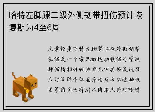 哈特左脚踝二级外侧韧带扭伤预计恢复期为4至6周